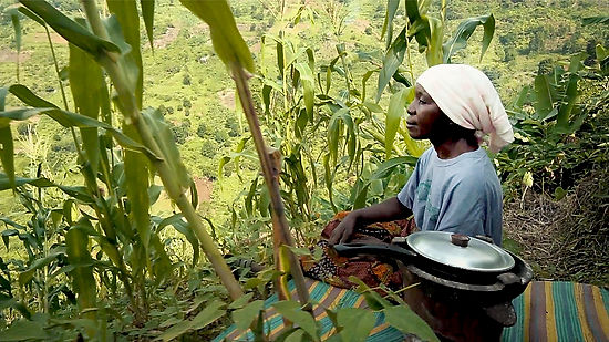 SAT (2020) - Sustainable Agriculture Tanzania